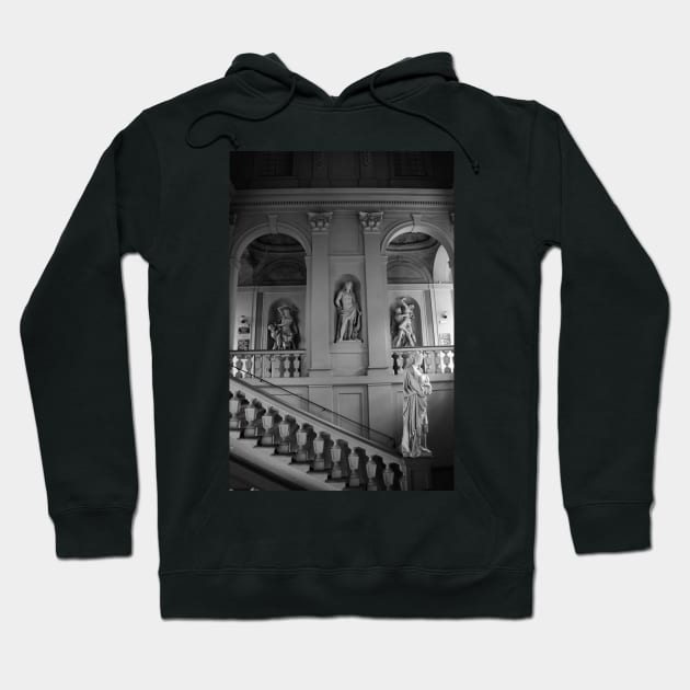 Bologna University Statues IX. Italy 2011 Hoodie by IgorPozdnyakov